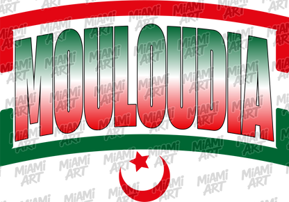 Hoodie White Mouloudia MCA-05